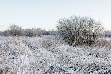 Sneeuw en ijs van Marco Bakker