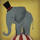 Zirkus-Elefant, Ryan Fowler von Wild Apple Miniaturansicht