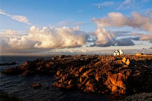 living on the rocks