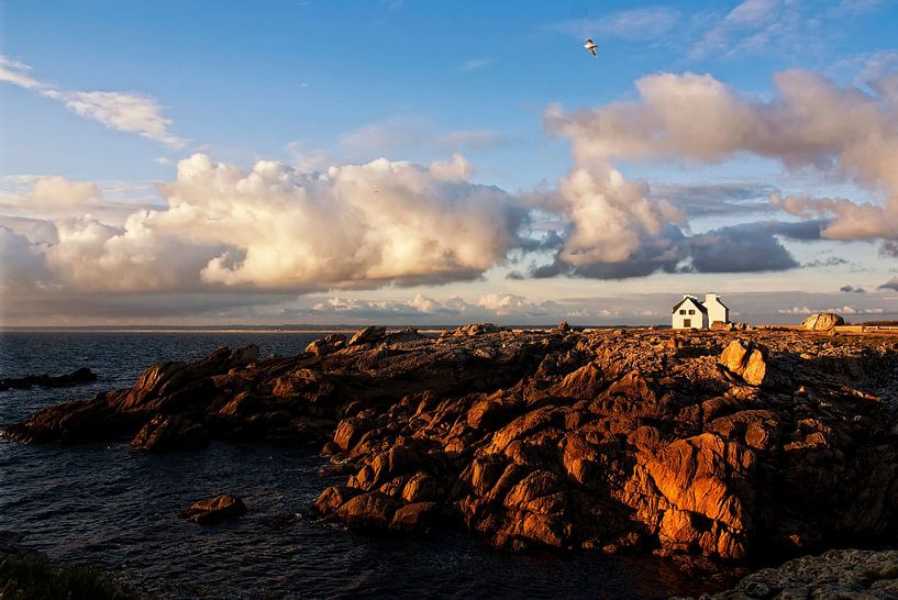 living on the rocks von Claudia Moeckel