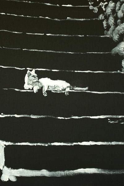 cat on stairs von Péchane Sumie