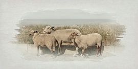 Ein Tag auf See Katwijk von Alie Ekkelenkamp