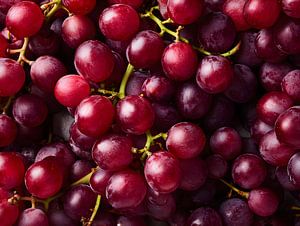 Saftige rote Trauben in intensiver Farbkomposition