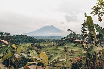 Vues du paradis : Rizières et Mont Agung dans l'enchanteresse Bali sur Troy Wegman