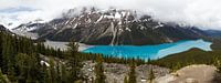 Peyto-See, Banff NP von Bart van Dinten Miniaturansicht