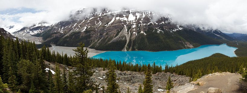 Peyto-See, Banff NP von Bart van Dinten