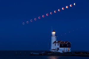 Bloedmaan bij Marken sur Tim Huijg