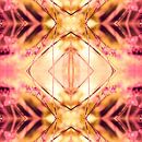 PINK SPANGLES no9-R1 by Pia Schneider thumbnail