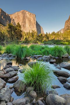 El Capitan spiegelt sich im Merced River, Yosemite-Nationalpark, Kalifornien, USA von Markus Lange