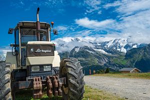 Lambo tractor van Atelier Liesjes