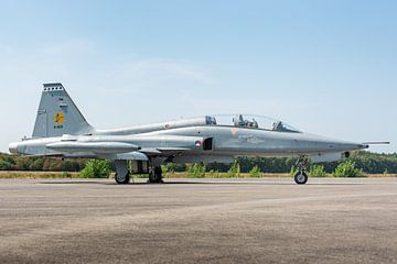 Northrop F-5 de la Royal Air Force néerlandaise sur KC Photography