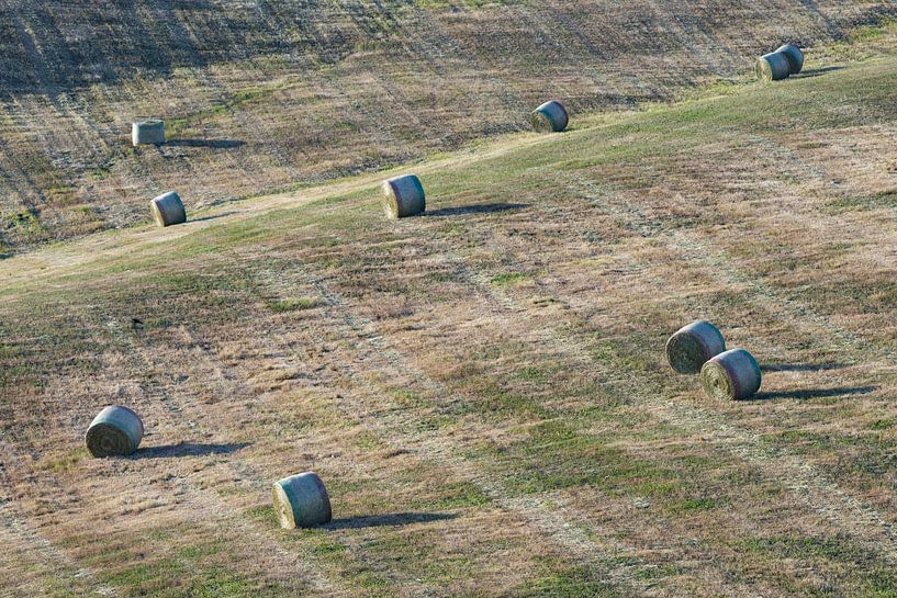 Landschaft um Pienza, Toskana von Walter G. Allgöwer