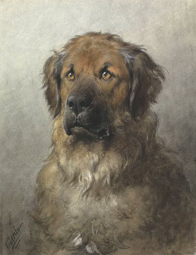 Kop van een Leonberger, Otto Eerelman