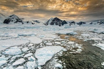 Zonsondergang Wilhelmina Bay, Antarctica, ijsschotsen. van Ron van der Stappen
