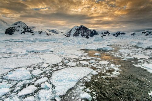 Zonsondergang Wilhelmina Bay, Antarctica, ijsschotsen.