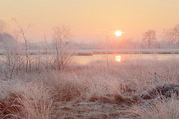 Zonsopkomst bij winters ven - Reestdal