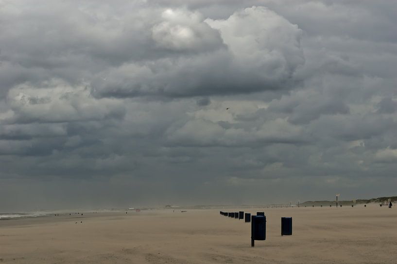 Sandsturm-Haken von Holland von C. Kuyvenhoven