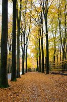 Herfstgoud