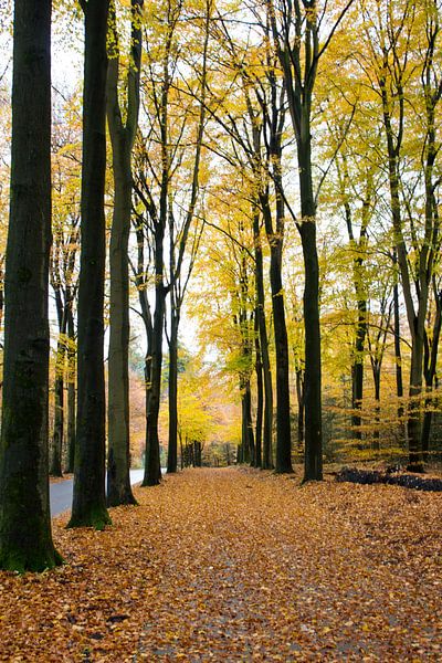 Herfstgoud van Nadia Langenberg