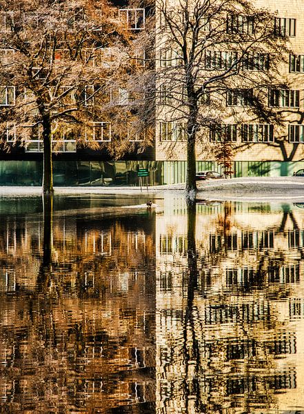 Weerspiegeling by Harrie Muis