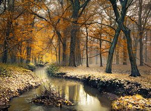 Stream through autumn