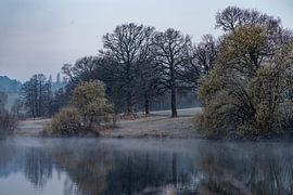 Sérénité du Lac dans la Douce Brume du Matin sur Lichtlaub Photographie | Toni Seyfert