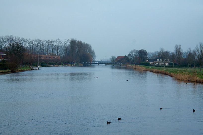 Boonervliet in de vroege ochtend glorie by Hans Blommestijn