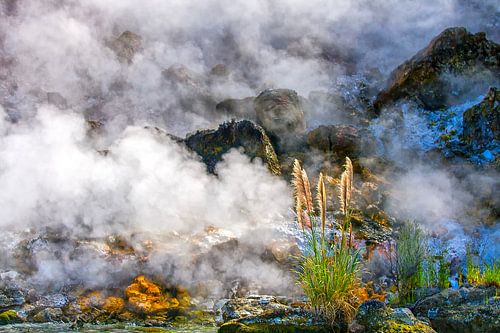 Wilde, levende aarde in Nieuw-Zeeland