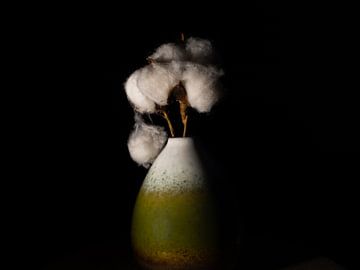 Baumwolle in einer grünen Vase von Maikel Brands