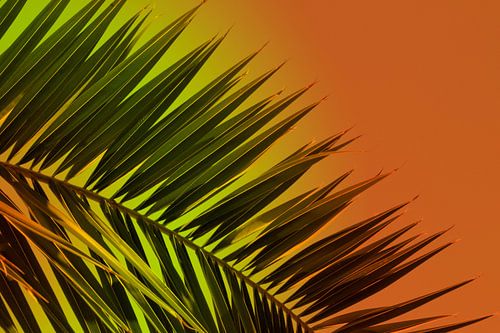 Varen - Zonsondergang