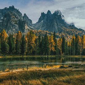 Herbstgold am Antornosee von Teun Ruijters