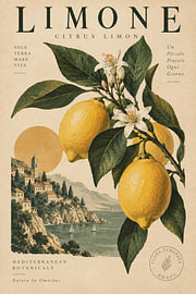 Lemon & Lake Como by MARTINA KUSUMA DEWI