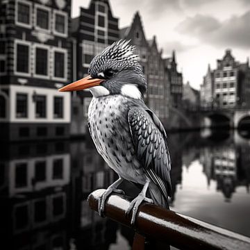Vogel in Amsterdam van Thilo Wagner