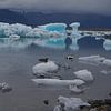 Jokulsarlon; Gletsjermeer in het zuiden van IJsland van Wilco Berga