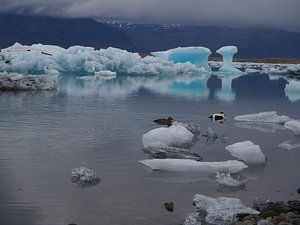 Jokulsarlon glacier lagoon on Iceland sur Wilco Berga
