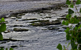 Aufgetaucht - Ein Hauch von Ursprünglichkeit des Mittelrhein von Helmut Martin - The Art of Stone - Steinkunst & Photographie