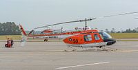 Bell TH-57C Sea Ranger trainingshelikopter. van Jaap van den Berg thumbnail