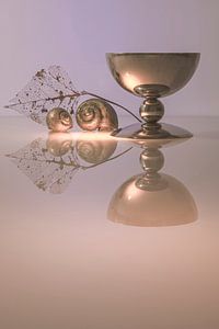 Stilleben Pokal mit Muscheln Modern Chic in Silber