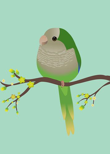 Een digitale tekening van een muisparkiet