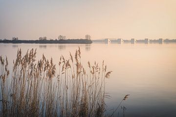 Lac Gooimeer