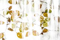 Muster der Herbstblätter von Sam Mannaerts Miniaturansicht