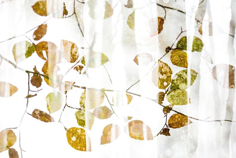 Pattern van herfstbladeren van Sam Mannaerts