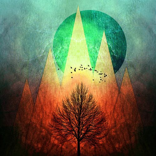 TREES under MAGIC MOUNTAINS II