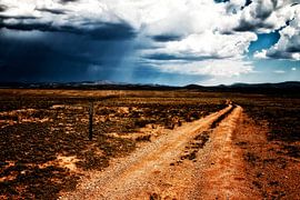 eine raue Straße durch die Landschaft Arizonas von Hans de Waay