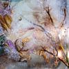 Bloemen in IJs | Levenscyclus | Fine Art Fotografie van Nanda Bussers