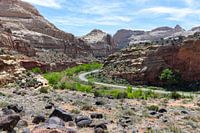 Roadtrip at Capitol Reef National Park in America