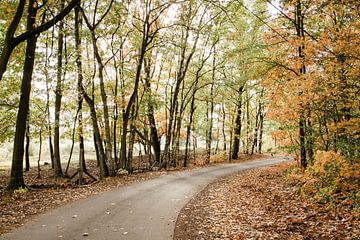 Straße im Herbst von Djuli Bravenboer