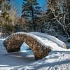 Schneebedeckte Brücke im Wald von fernlichtsicht