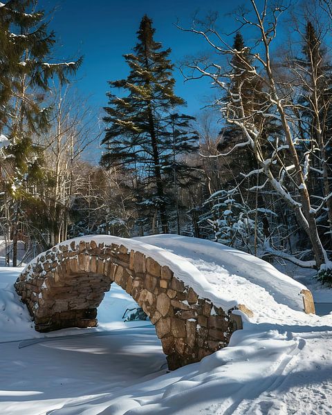 Schneebedeckte Brücke im Wald von fernlichtsicht
