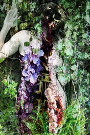 cycle of nature by Fotokompost von Lichtgestalt